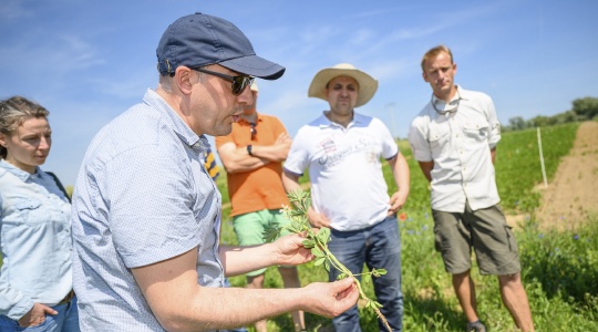 Prof. Dr. Ralf Bloch, Fachbereich Landschaftsnutzung und Naturschutz an der HNEE, erklärt Besucher*innen die Besonderheit von Leguminosen.