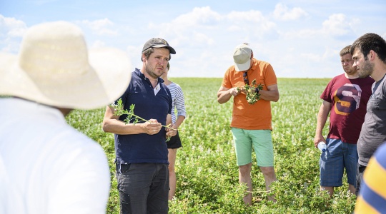 Jörg Juister, Geschäftsführer von Gut Wilmersdorf, erklärt Fachpublikum den Anbau von weißen Lupinen.